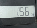 подушка крепления двигателя Ford Focus 2 поколение 2008, 1.6 л., МКПП, хетчбэк 5 дв. - фото №6
