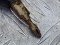 замок зажигания Peugeot 206 1 поколение [рестайлинг] 2006, 1.4 л., бензин, МКПП, хетчбэк 5 дв. - фото №6
