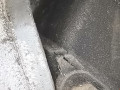 подушка крепления двигателя Volkswagen Tiguan 1 поколение 2008, 2.0 л., МКПП, внедорожник 5 дв., 5N0199262F - фото №5
