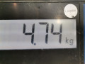 суппорт передний левый Ford Focus 2 поколение 2005, 1.6 л., МКПП, хетчбэк 5 дв., 1682876 - фото №2