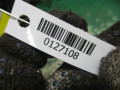 петля двери Audi A2 8Z 2004, 1.4 л., МКПП, хетчбэк 5 дв. - фото №4