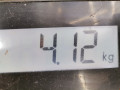 усилитель бампера переднего Renault Scenic 3 поколение 2010, 1.6 л., МКПП, минивэн, 752100015R - фото №7