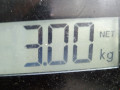 пружина задняя Mazda 2 1 поколение DY 2005, 1.4 л., МКПП, хетчбэк 5 дв., DD3228011A - фото №4