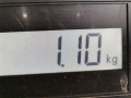 зеркало наружное правое Volkswagen Touran 1 поколение [рестайлинг] 2007, 1.9 л., МКПП, минивэн, 1T2857508L - фото №6