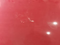 капот Renault Scenic 3 поколение 2010, 1.5 л., МКПП, минивэн, 651008842R - фото №2