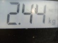 пружина задняя Mazda CX-3 1 поколение DK 2015, 1.5 л., МКПП, внедорожник 5 дв., D10G28011A - фото №4