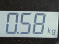 защита днища Mercedes-Benz M-Класс W164 2006, 4.0 л., АКПП, внедорожник 5 дв., A1646100608 - фото №6