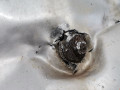 коллектор выпускной Renault Duster 1 поколение 2013, 1.6 л., МКПП, внедорожник 5 дв., 8200543309 - фото №4
