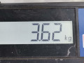 пружина задняя Renault Modus 1 поколение 2007, 1.2 л., МКПП, хетчбэк 5 дв., 550204217R - фото №4