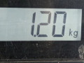 стеклоподъемник электрический задний правый Opel Astra H 2005, 1.7 л., МКПП, хетчбэк 5 дв., 13100424 - фото №4