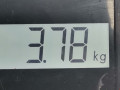 пружина передняя Chevrolet Kalos 1 поколение 2004, 1.2 л., МКПП, хетчбэк 3 дв., 96539656 - фото №4