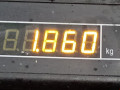 насос масляный Renault Espace 3 поколение 2000, 3.0 л., АКПП, минивэн, 9627657580 - фото №5