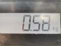 блок управления АКПП Renault Espace 4 поколение [рестайлинг] 2008, 3.0 л., АКПП, минивэн, 8200543319 - фото №6