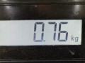 патрубок интеркулера Ford Fiesta 6 поколение 2010, 1.6 л., МКПП, хетчбэк 5 дв. - фото №5