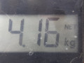 стабилизатор подвески передний Opel Astra H/Family [рестайлинг] 2009, 1.8 л., МКПП, хетчбэк 5 дв., 13208044 - фото №6