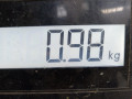 защита арок задняя левая (подкрылок) Audi A6 4F/C6 2006, 3.0 л., вариатор, универсал, 4F0810171D - фото №4