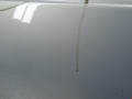 дверь передняя правая Volkswagen Golf 3 поколение 1999, 1.6 л., МКПП, кабриолет, 1E0831056B - фото №5