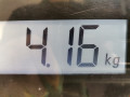 стеклоподъемник электрический задний левый SEAT Exeo 1 поколение 2009, 2.0 л., МКПП, седан, 8E0839461C - фото №8