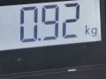 уплотнитель подкапотного пространства BMW X1 E84 2010, 2.0 л., МКПП, внедорожник 5 дв., 51762991416 - фото №5