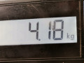 масляный поддон Mercedes-Benz B-Класс W245 2008, 2.0 л., МКПП, хетчбэк 5 дв., A6400101113 - фото №7