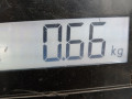бачок расширительный Opel Zafira 1 поколение (A) 2002, 1.6 л., МКПП, минивэн, 93183307 - фото №6