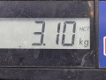 усилитель бампера заднего Opel Astra H 2007, 1.3 л., МКПП, хетчбэк 5 дв., 13125147 - фото №7