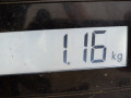защита арок задняя правая (подкрылок) Audi A6 4B/C5 1999, 2.4 л., МКПП, универсал, 4B0810172M - фото №3