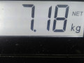 стойка амортизатора Volkswagen Polo 3 поколение 1995, 1.3 л., МКПП, хетчбэк 3 дв., 6N0413031K - фото №7