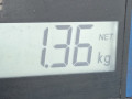 ремень безопасности Mitsubishi Colt 6 поколение (Z30) [рестайлинг] 2009, 1.1 л., МКПП, хетчбэк 5 дв., 7000A309XA - фото №6
