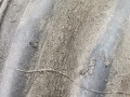 полуось задняя (приводной вал, ШРУС) BMW 3 серия E90/E91/E92/E93 2005, 3.0 л., АКПП, седан, 33217561790 - фото №6