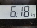 компрессор кондиционера Opel Zafira 1 поколение (A) [рестайлинг] 2003, 2.2 л., МКПП, минивэн, 24464151 - фото №5