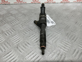 форсунка Renault Scenic 2 поколение 2004, 1.9 л., МКПП, минивэн, 8200606383