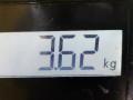 коллектор впускной Opel Astra J 2010, 1.6 л., МКПП, хетчбэк 5 дв., 55572730 - фото №7