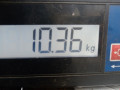 маховик Renault Laguna 2 поколение 2001, 1.8 л., МКПП, хетчбэк 5 дв., 8200441371 - фото №6