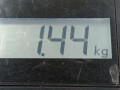 амортизатор задний левый Ford Fiesta 6 поколение 2010, 1.6 л., МКПП, хетчбэк 5 дв., 1721237 - фото №4