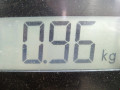 петля двери Audi A3 8P/8PA [2-й рестайлинг] 2012, 1.6 л., МКПП, хетчбэк 5 дв., 8E0831412E - фото №4