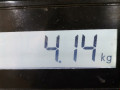 корпус масляного фильтра Honda CR-V 3 поколение 2007, 2.2 л., МКПП, внедорожник 5 дв., 15405RSRE01 - фото №6