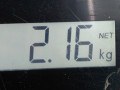 суппорт задний левый Volkswagen Golf 4 поколение 2002, 1.9 л., МКПП, хетчбэк 3 дв., 1J0615423G - фото №8