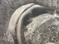 суппорт задний левый Audi A6 4B/C5 [рестайлинг] 2001, 1.9 л., МКПП, седан, 8E0615423 - фото №5