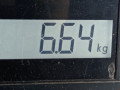стойка амортизатора Opel Astra H/Family [рестайлинг] 2009, 1.6 л., МКПП, хетчбэк 5 дв., 93179660 - фото №6