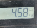 амортизатор задний левый Toyota Avensis 3 поколение (T270) 2011, 2.0 л., МКПП, универсал, 4853005412 - фото №8