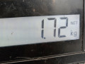 пружина передняя Renault Clio 2 поколение [рестайлинг] 2003, 1.5 л., МКПП, хетчбэк 3 дв. - фото №3