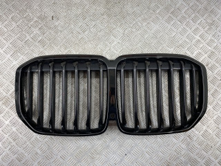решетка радиатора BMW X7 G07 2018, 3.0 л., B57 D30 C, дизель, arktikgrau brill. metallic (c27), 51138094566, 51138094567, 51138745730