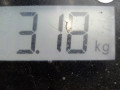 радиатор (основной) Volkswagen Golf 4 поколение 2003, 1.4 л., МКПП, хетчбэк 3 дв., 1J0121253AD - фото №5