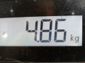 диск тормозной передний Volkswagen Golf 4 поколение 2002, 1.9 л., МКПП, хетчбэк 5 дв., 6R0615301D - фото №5