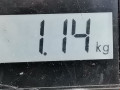 подушка крепления КПП Volkswagen Beetle 2 поколение 1999, 2.0 л., МКПП, хетчбэк 3 дв., 1J0411305A - фото №6