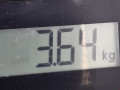 коллектор впускной Volkswagen Golf 4 поколение 1999, 1.9 л., МКПП, хетчбэк 3 дв., 038129713H - фото №7