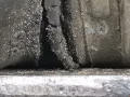 полуось передняя левая (приводной вал, ШРУС) Volkswagen Passat B5 2000, 1.6 л., АКПП, универсал, 8D0407453AX - фото №5
