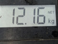 прицепное устройство (фаркоп) Renault Kangoo 1 поколение [рестайлинг] 2005, 1.2 л., МКПП, минивэн - фото №8