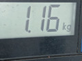 подушка безопасности водителя Renault Megane 2 поколение 2002, 1.6 л., МКПП, хетчбэк 5 дв., 8200200230 - фото №6